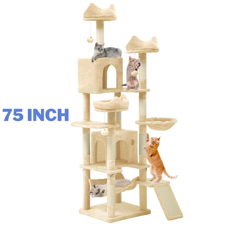 Kitty Haven Activity Center