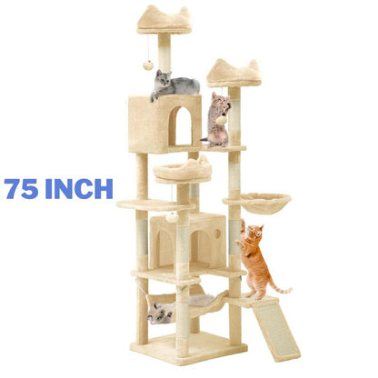 Kitty Haven Activity Center