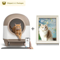 Brown Litter Box+Scratcher Board