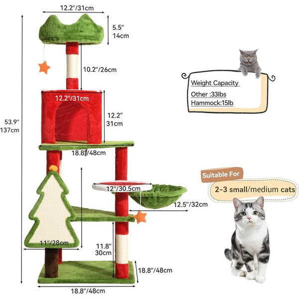 Kitty Haven Activity Center