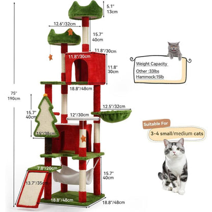 Kitty Haven Activity Center