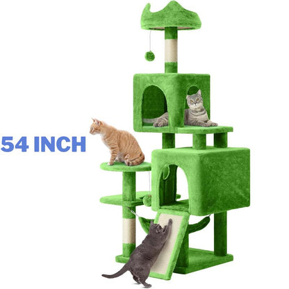 Kitty Haven Activity Center