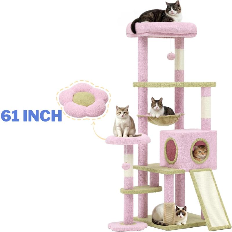 Kitty Haven Activity Center
