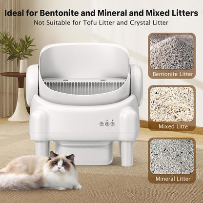 Open-Top Cat Litter System